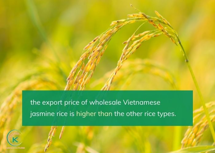 The-export-price-of-wholesale-Vietnamese-jasmine-rice-is-higher-than-the-other-rice-types.jpg