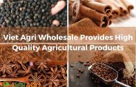 Viet-Agri-Wholesale-Provides-High-Quality-Agricultural-Products