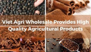 Viet-Agri-Wholesale-Provides-High-Quality-Agricultural-Products