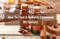 how-to-find-a-reliable-cinnamon-oil-factory
