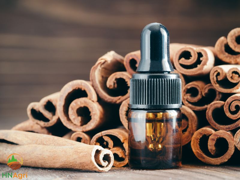 how-to-find-a-reliable-cinnamon-oil-factory-2