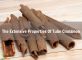 the-extensive-properties-of-tube-cinnamon