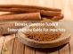 chinese-cinnamon-tubes-a-comprehensive-guide-for-importers