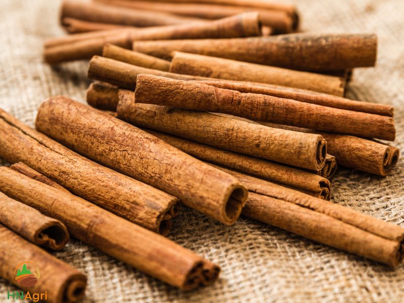 chinese-cinnamon-tubes-a-comprehensive-guide-for-importers-2