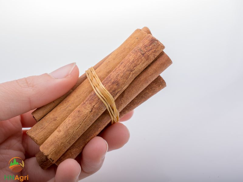 chinese-cinnamon-tubes-a-comprehensive-guide-for-importers-1