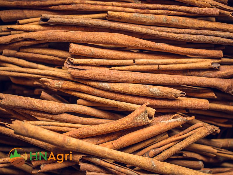 chinese-cinnamon-unleashed-a-wholesalers-path-to-flavorful-profits-3